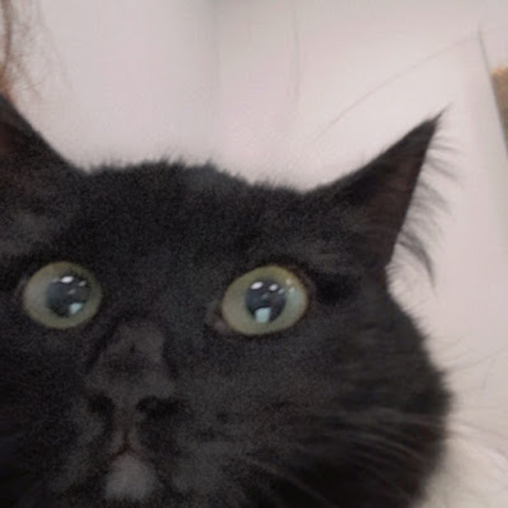 Meet your Posher, Sara